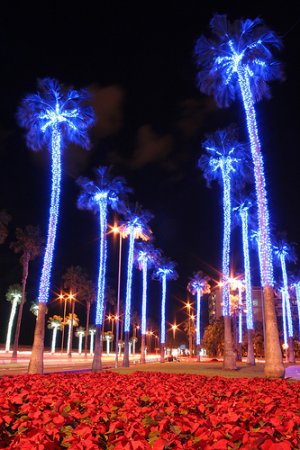 Navidad en Gran Canaria