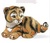 Familie von Bengal Tiger - DeRosa Rinconada Tiger Cub