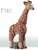 Familie von Giraffen - DeRosa-Rinconada Giraffe, F142