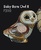 Family of barn owl - DeRosa Rinconada Baby owl II f310