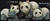 Familia de osos panda - DeRosa Rinconada Familia de osos panda