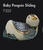 Familia de pingüinos - DeRosa - Rinconada Pingüino bebé deslizandose