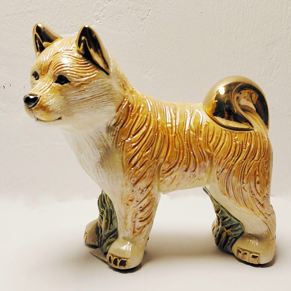 Perro 