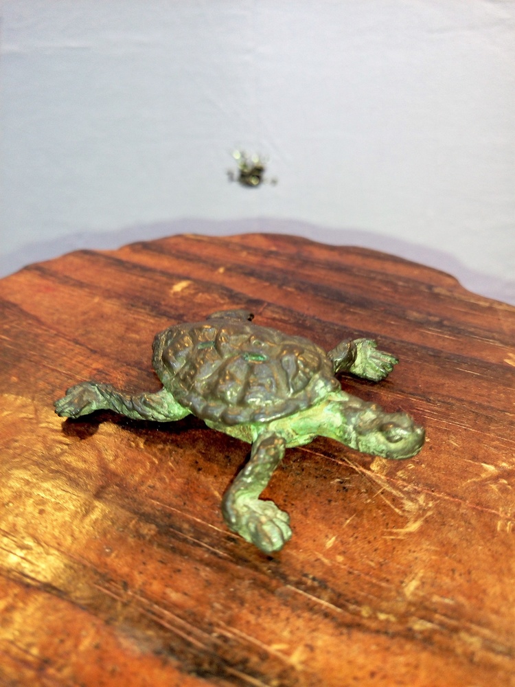 Moreno Art Studio - Bronze Turtle 