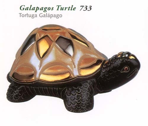 tortugagalapago733 
